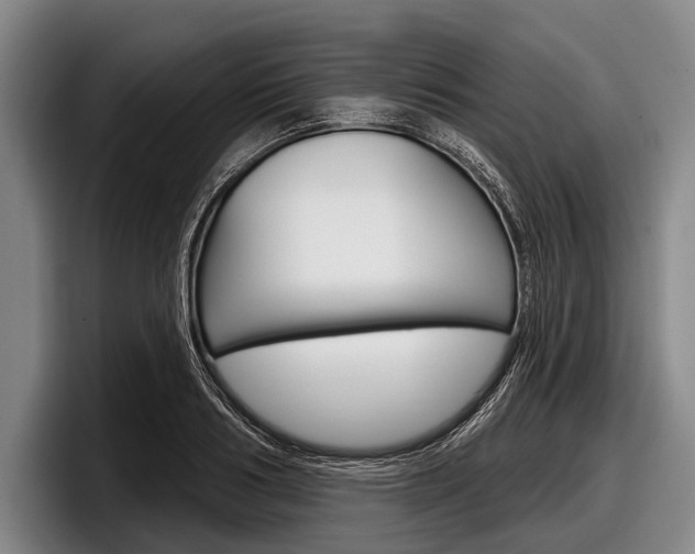 X0000097990986200803241018