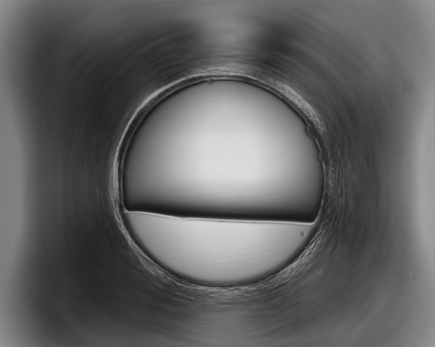X0000097990988200803241018