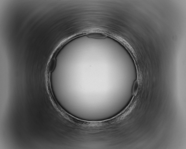 X0000097990989200803241018