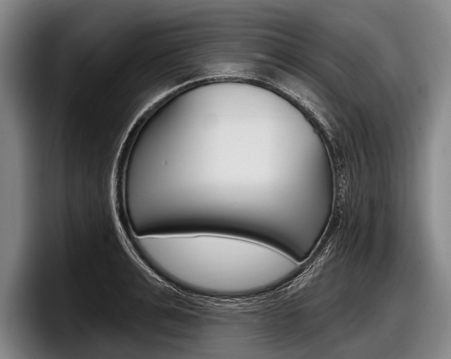 X0000097990991200803241018