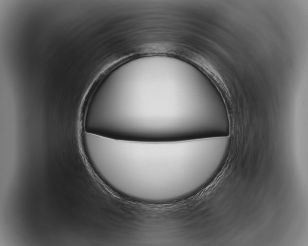 X0000097990992200803241018