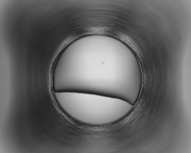 X0000097990994200803241018