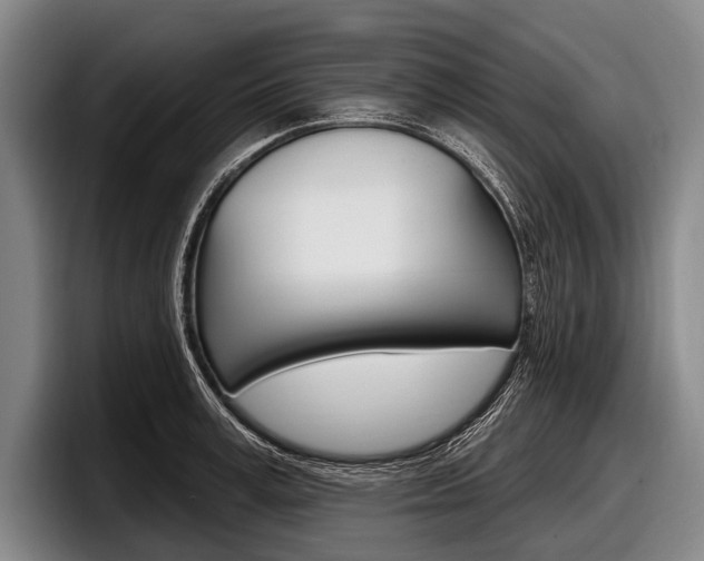 X0000097990995200803241018
