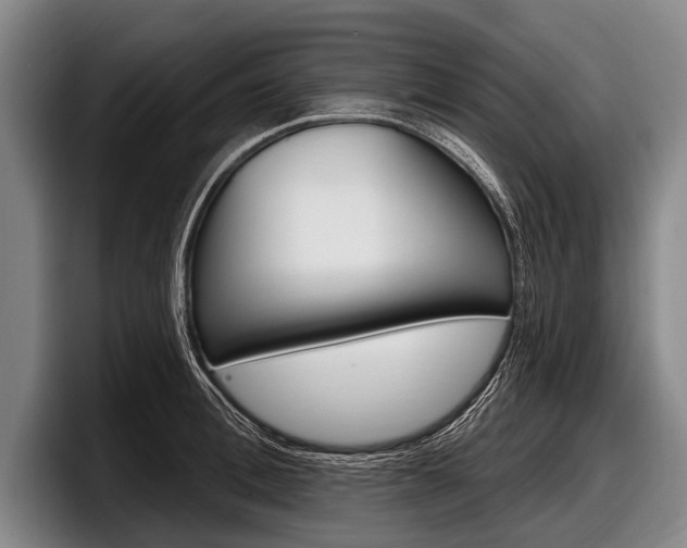 X0000097990996200803241018