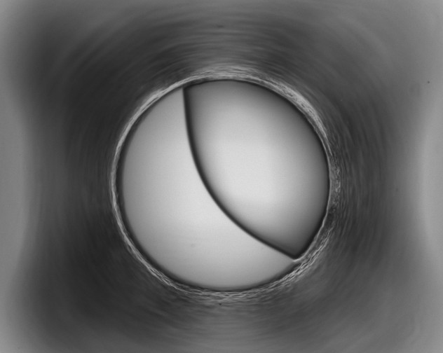 X0000097990997200803241018