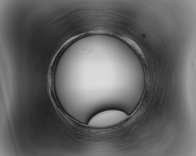 X0000097991000200803241018