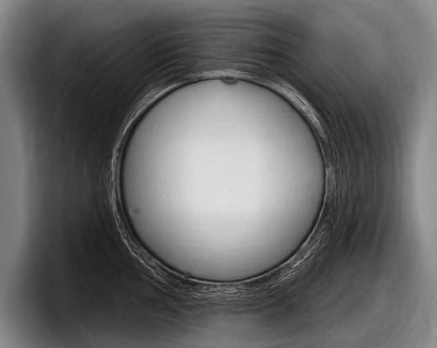 X0000097991002200803241018