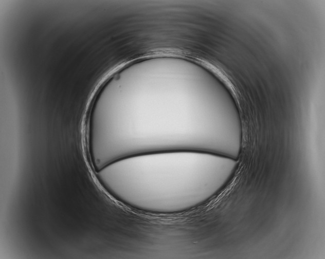 X0000097991003200803241018