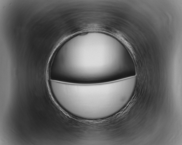 X0000097991005200803241018