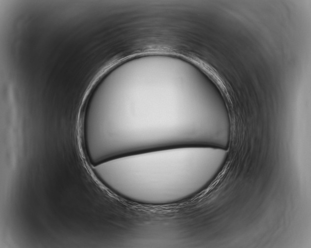 X0000097991006200803241018