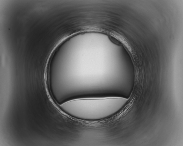 X0000097991007200803241018