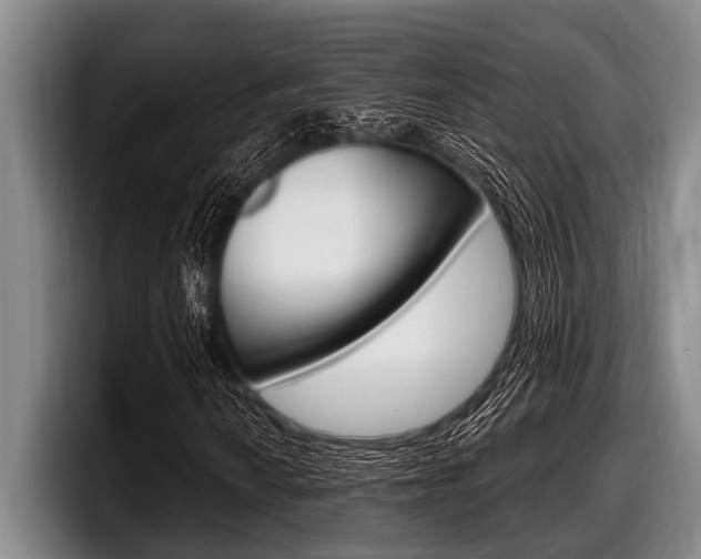 X0000097991010200803241017