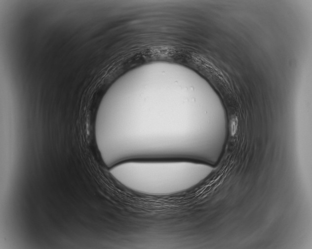 X0000097991011200803241017