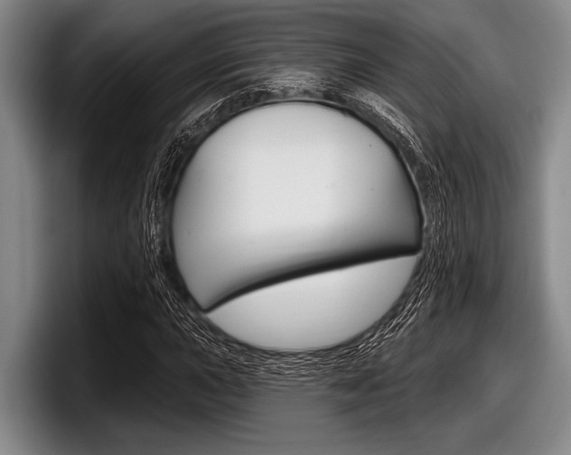 X0000097991015200803241017