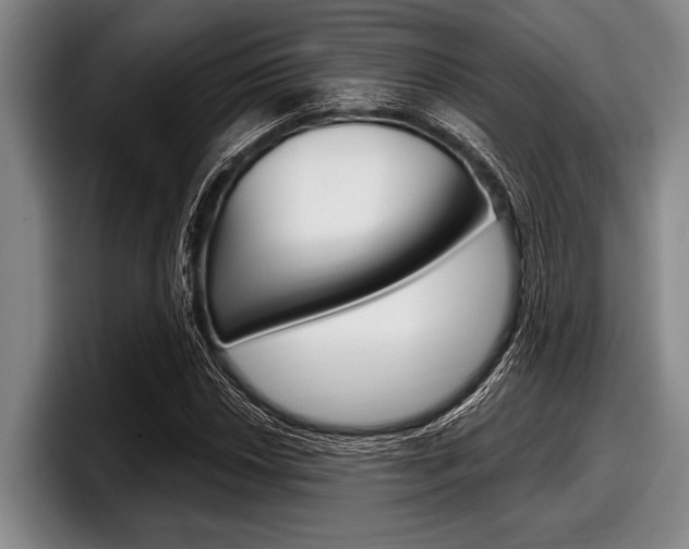 X0000097991018200803241017