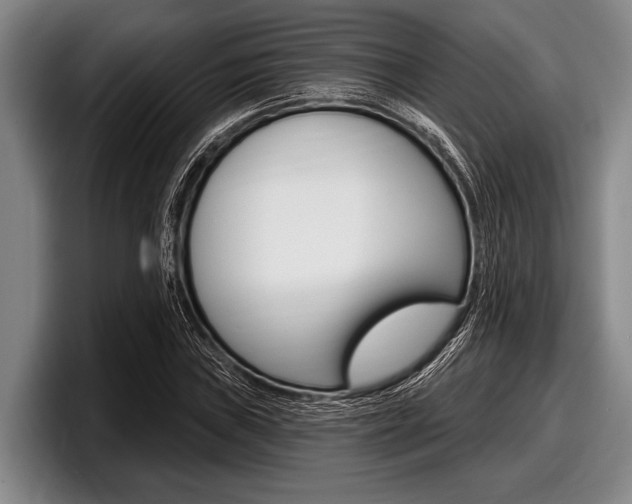 X0000097991019200803241017
