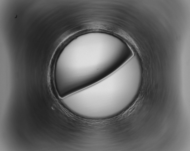 X0000097991020200803241017