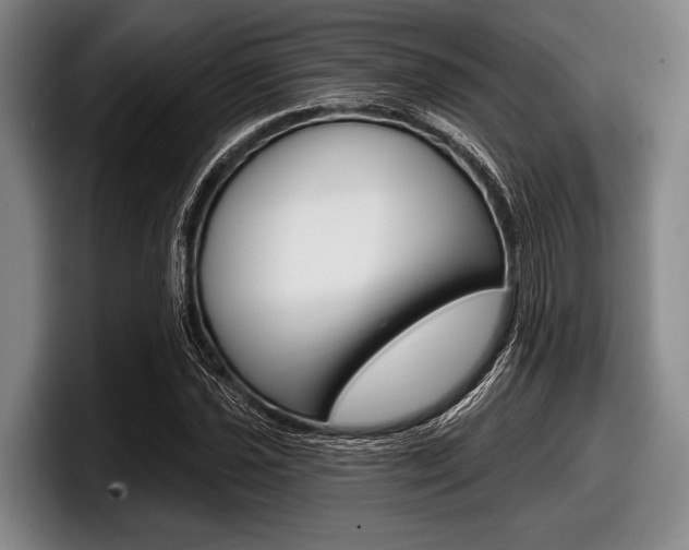 X0000097991021200803241017