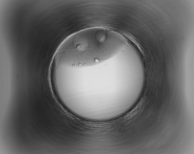 X0000097991024200803241017