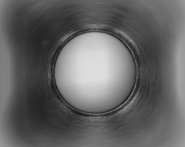 X0000097991025200803241017