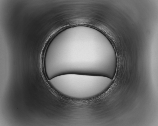 X0000097991031200803241017