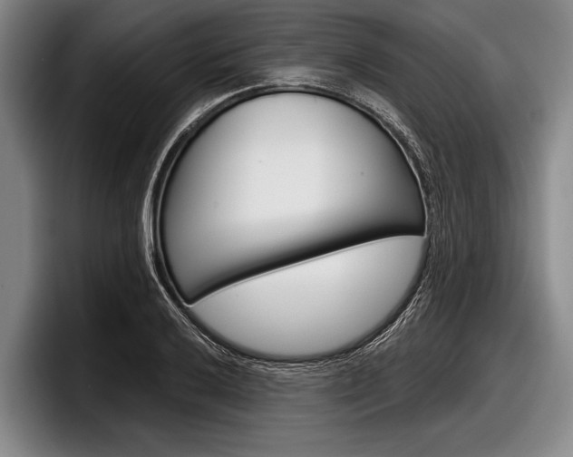 X0000097991032200803241017