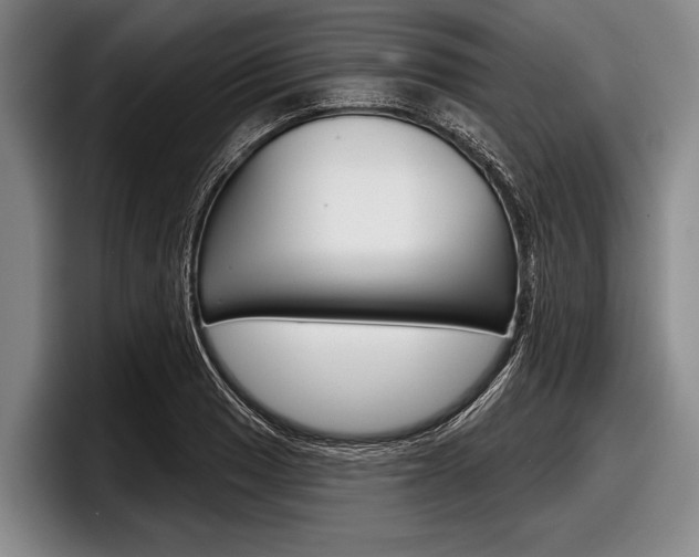 X0000097991033200803241017