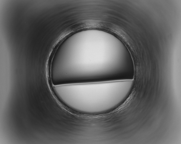 X0000097991034200803241017