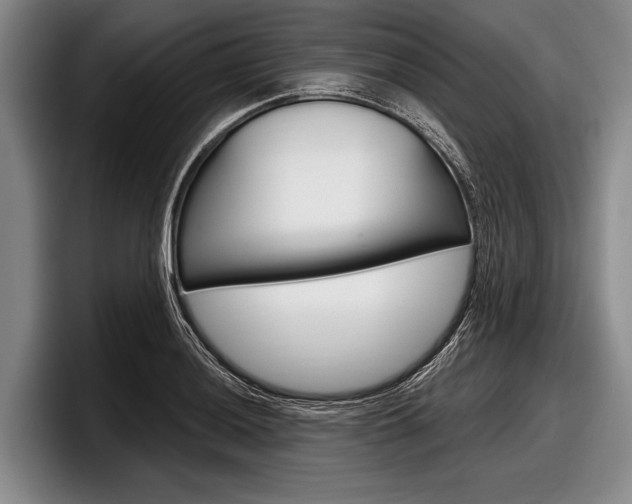 X0000097991036200803241017