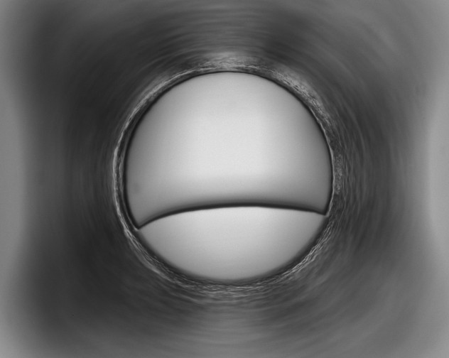 X0000097991039200803241017