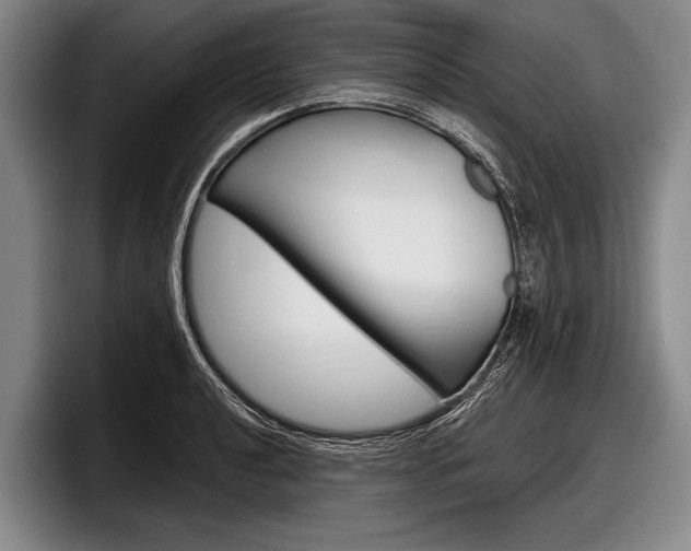 X0000097991040200803241017