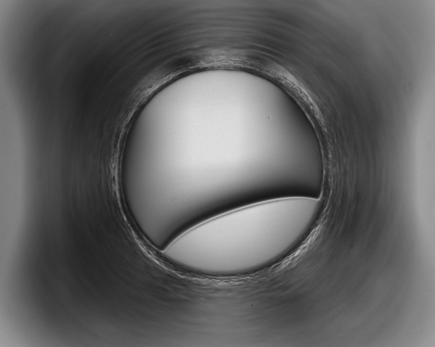 X0000097991041200803241017