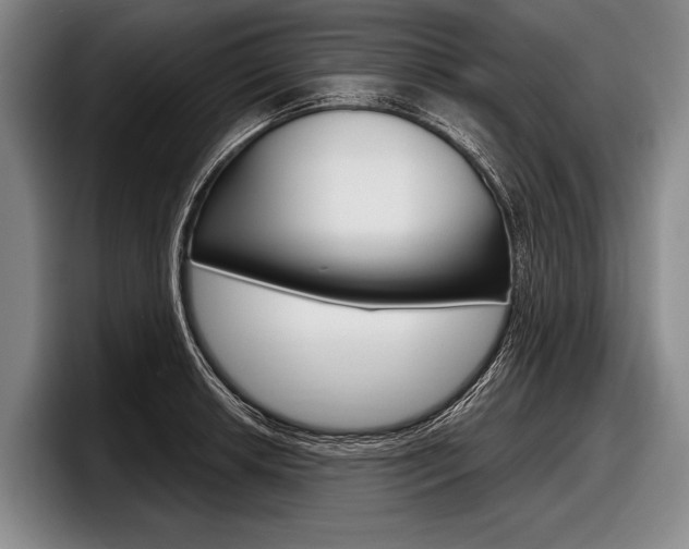 X0000097991042200803241017