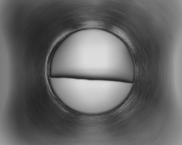 X0000097991043200803241018