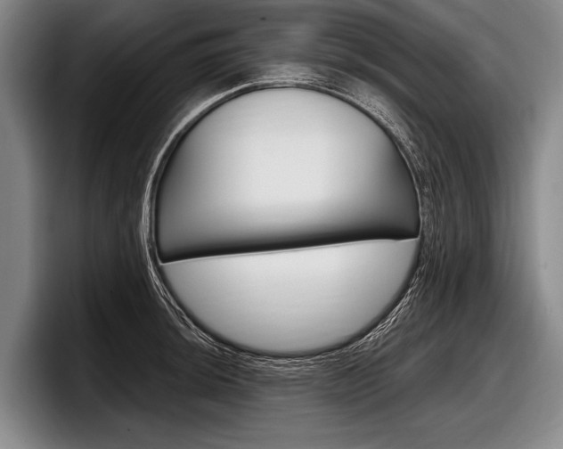 X0000097991044200803241018