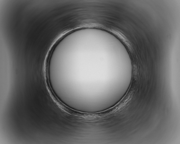 X0000097991046200803241018