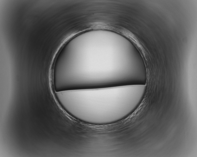 X0000097991048200803241018