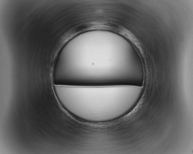 X0000097991049200803241018