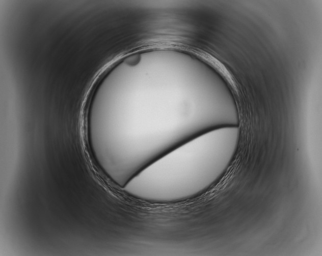 X0000097991051200803241018
