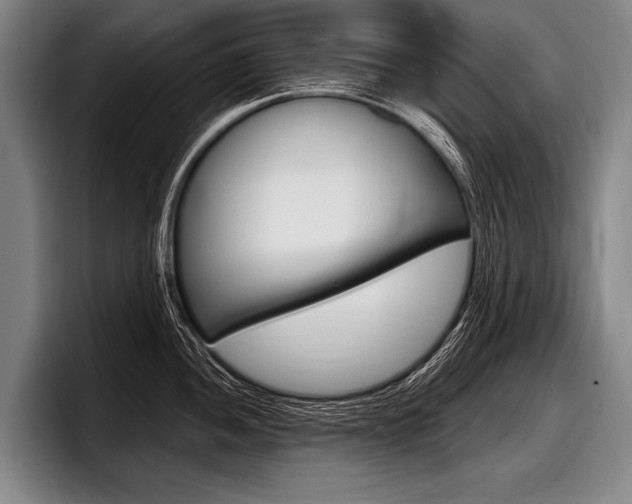 X0000097991052200803241018