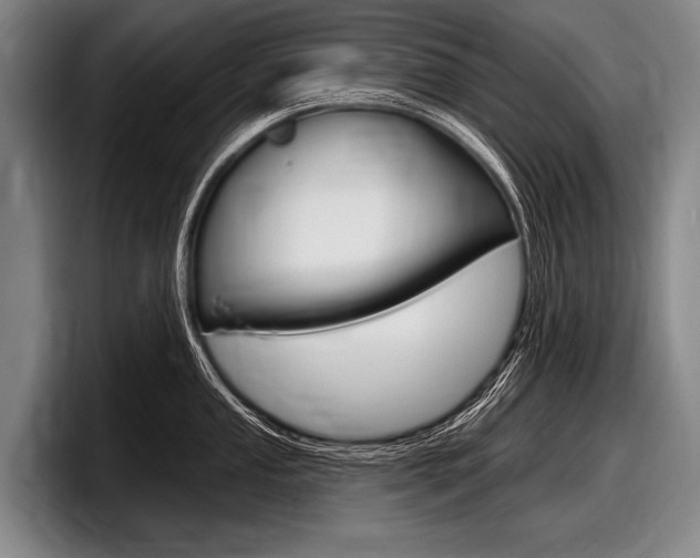 X0000097991053200803241018