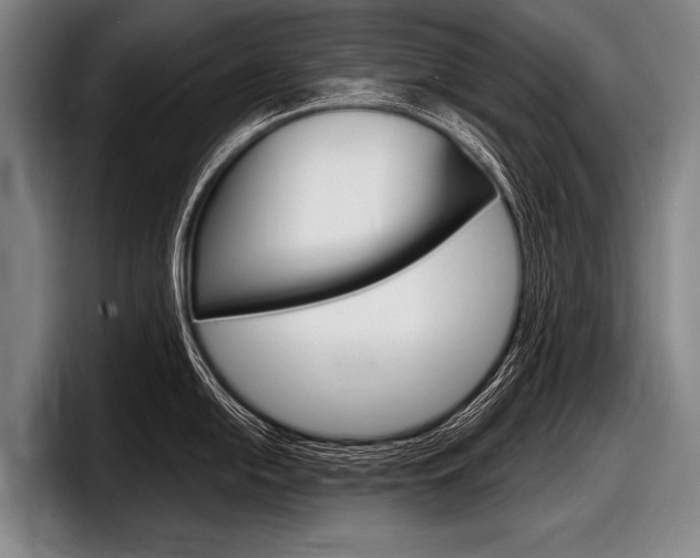 X0000097991054200803241018
