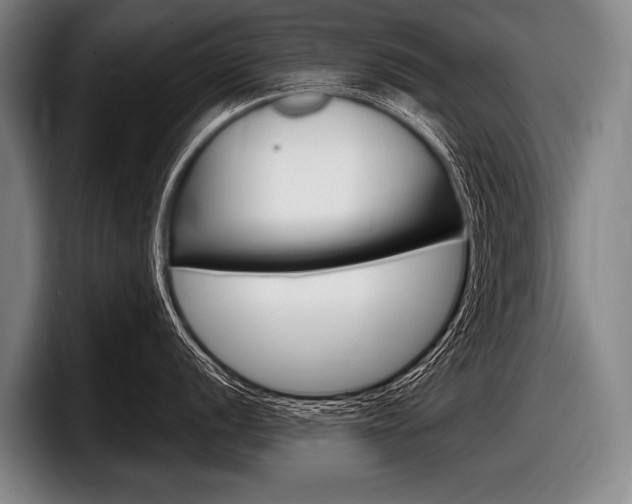 X0000097991056200803241018