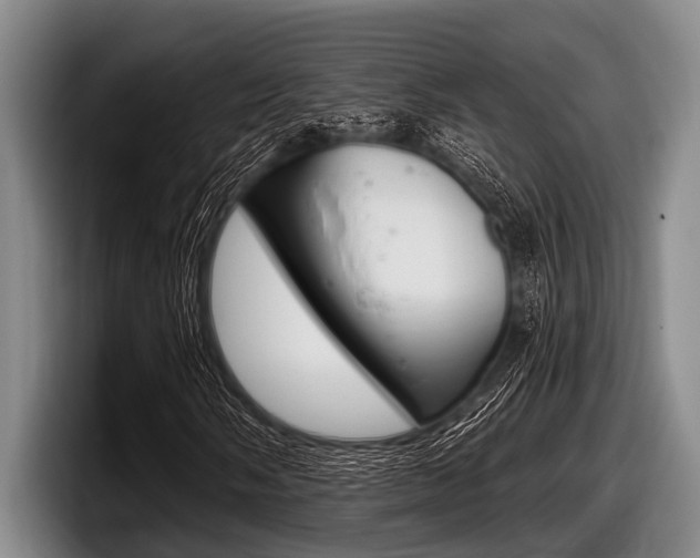 X0000097991058200803241017