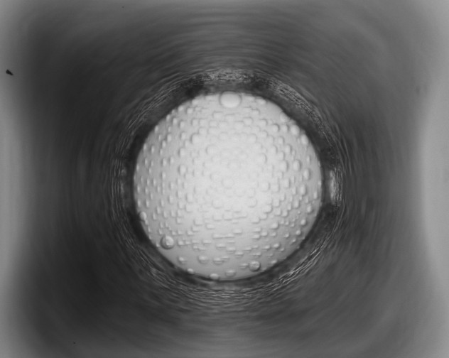 X0000097991059200803241017