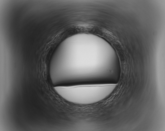 X0000097991061200803241017