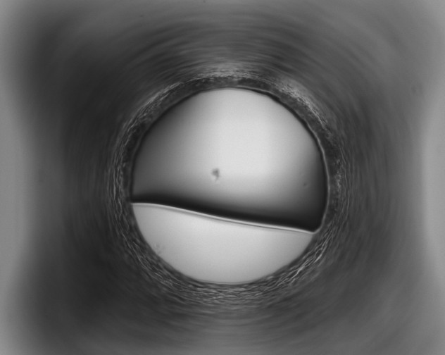 X0000097991064200803241017