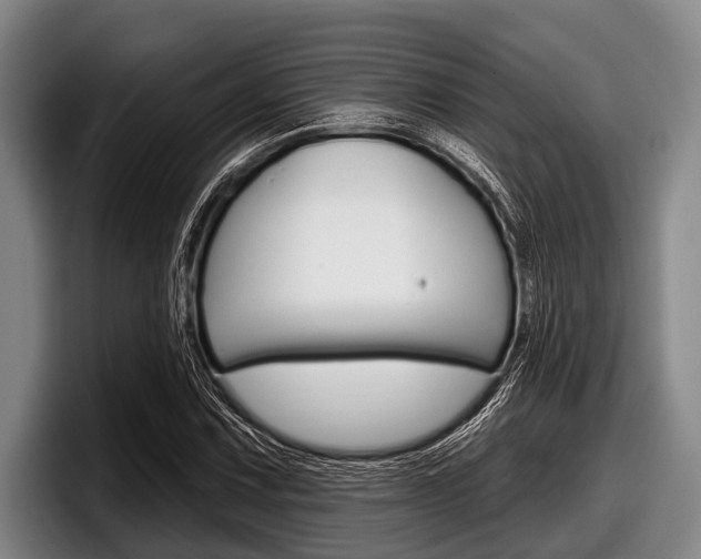 X0000097991067200803241017
