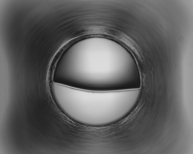 X0000097991068200803241017