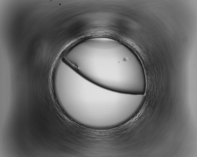 X0000097991071200803241017